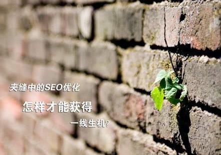 夹缝中的SEO优化怎样才能取得一线生机？
