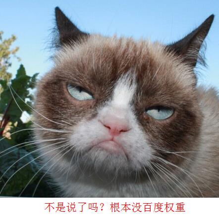 没有百度权重 我们拿啥判断网站整体质量？