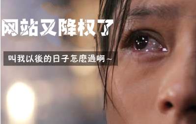 网站被降权
